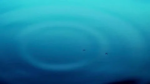 Water drop, slow motion, purity Stock Footage 314987042