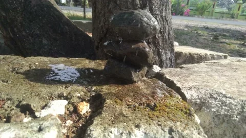 Water Drop on stack or balancing rock Stock Footage 163099027