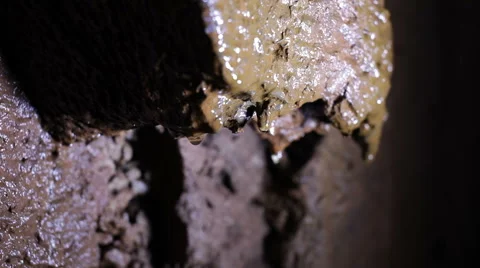 Water drop from stone build-up in the wall Video stock 66783205