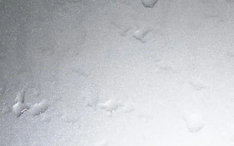 Water drop texture Stock Photos