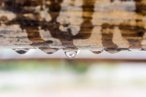 Water drop under the wood 스톡 사진