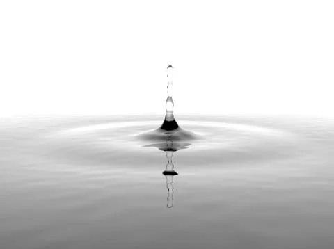 Water Drop on White Background Stock Photos