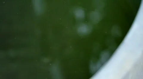 Water droping Stock Footage 788511