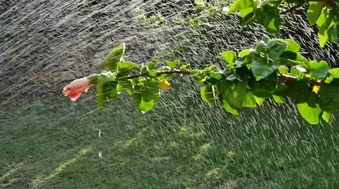 Water droplets in backlight Video stock 54054829