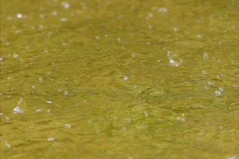 Water Droplets Bouncing on Surface 03 Loop slow x14 Stock Footage