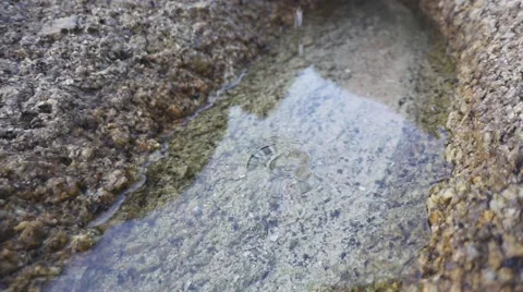 Water droplets drip into a puddle in a stone. Slow motion Stock Footage 66760311