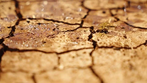 Water droplets fall onto dry cracked earth, symbolizing drought relief and Video stock 310718042