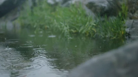 Water droplets fall into a puddle Stock Footage 91902747