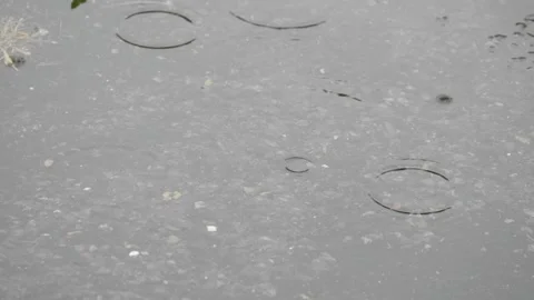 Water droplets fall into puddle in slow motion Stock Footage 273878995