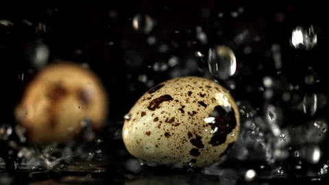 Water droplets fall on quail eggs. Filmed on a high-speed camera at 1000 fps. Stock Footage 322793492