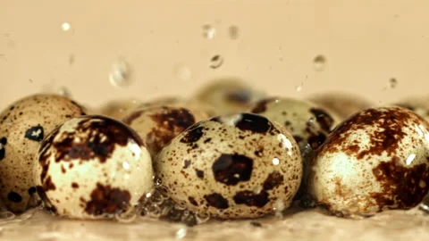 Water droplets fall on quail eggs. Filmed on a high-speed camera at 1000 fps. Stock Footage 322798870