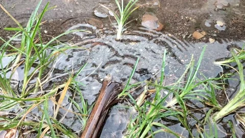 Water droplets fall slowly to the ground Stock Footage 233317739
