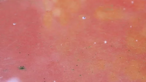 Water droplets falling on ceramic floor tiles Stock Footage 306778438