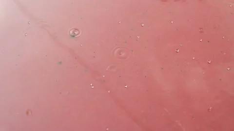Water droplets falling on ceramic floor tiles Stock Footage 306778445