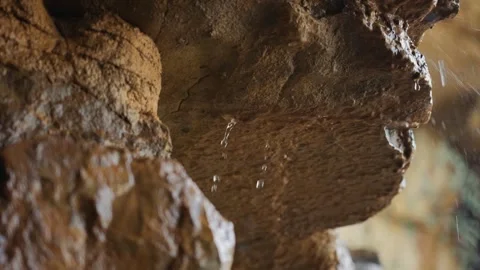 Water Droplets Falling Down Rough Rock Formation in Quiet Forest Vídeos de archivo 342241385