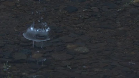 Water Droplets Falling into a Pool of Water in Slow Motion Stock Footage 104264485
