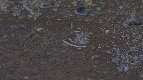 Water Droplets Falling into a Pool of Water in Slow Motion Stock Footage 104265186