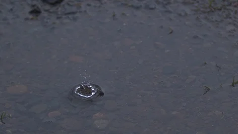 Water Droplets Falling into a Pool of Water in Slow Motion Stock Footage 104265229