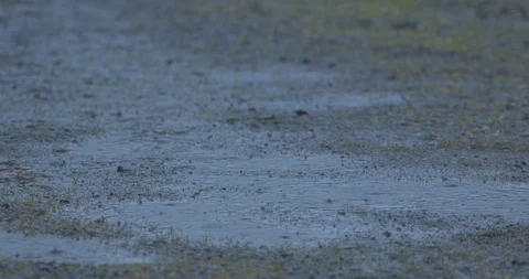 Water Droplets Falling into a Pool of Water Stock Footage 104268516