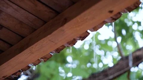 Water Droplets Falling Steadily from Eaves in a Quiet Moody Summer Rain Scene Vídeos de archivo 341869415