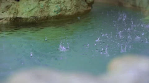 Water droplets falling into a stream Stock Footage 137965819