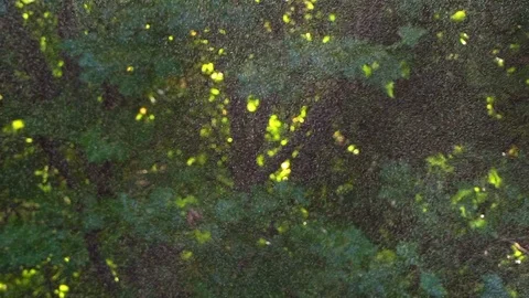 Water droplets flying in the wind, blurred background (graded) Stock Footage 119683291