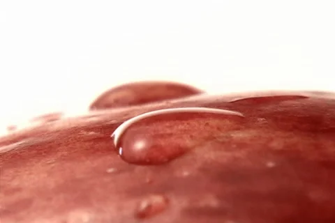 Water droplets Stock-Footage 1446532