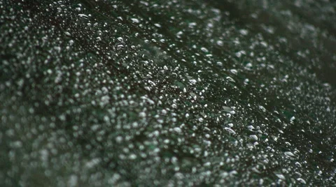 Water droplets 스톡 동영상 5718492