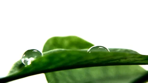 Water droplets 스톡 동영상 7902314