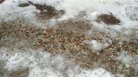 Water droplets Vídeo Stock 128760092