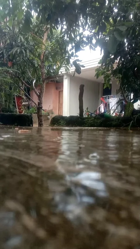 Water droplets Stock Footage 231749696