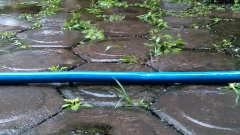 Water droplets Stock Footage 259642634