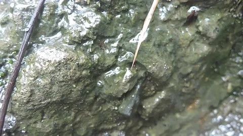 Water droplets Stock-Footage 279482023