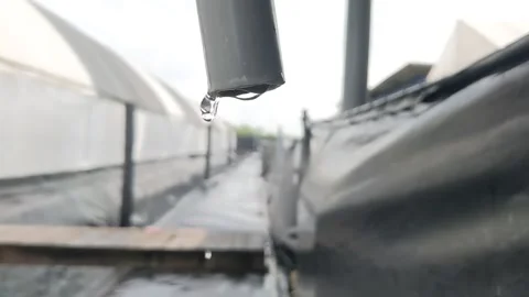 Water droplets Stock Footage 281906729