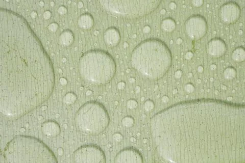 Water droplets form patterns on a smooth green surface Stock Photos