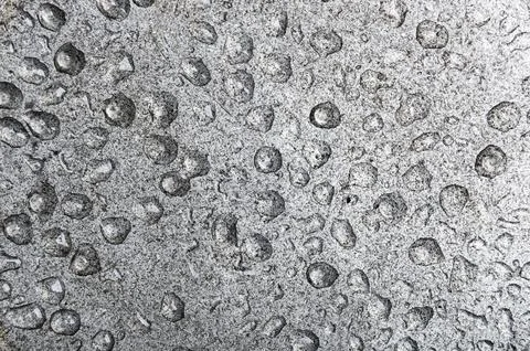 Water droplets on a gray background Stock Photos