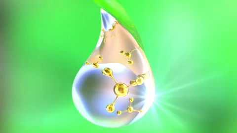 Water Droplets on a Leaf  Stock Footage 208130435