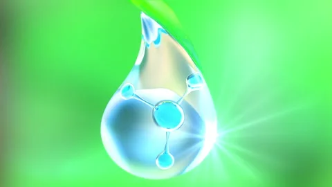 Water Droplets on a Leaf  Vídeos de archivo 208686563