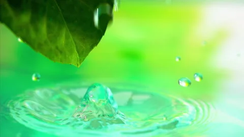 Water Droplets on Leaf: Super Slow Motion 1000fps Stock Footage 251957849