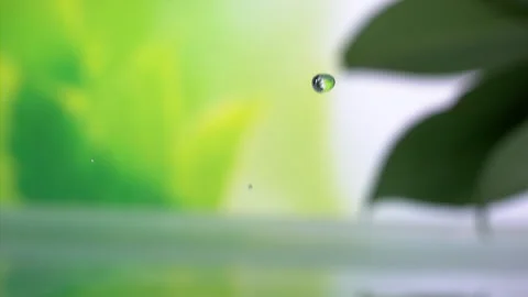 Water Droplets on Leaf: Super Slow Motion 1000fps Stock Footage 251968428