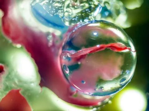 Water droplets Stock Photos