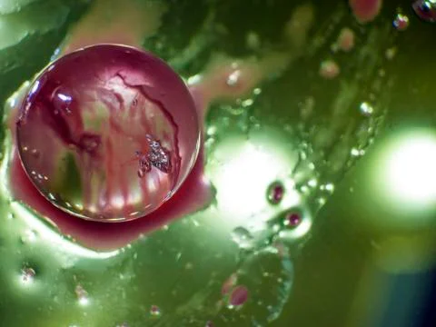Water droplets Stock Photos
