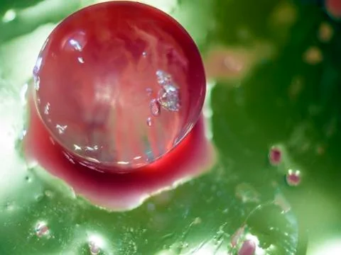 Water droplets Stock Photos