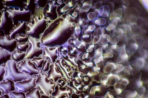 Water droplets Stock Photos