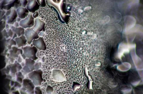 Water droplets Stock Photos