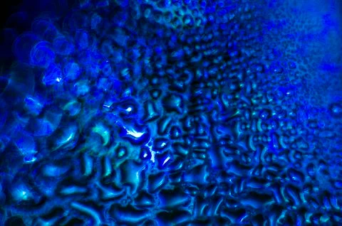 Water droplets Stock Photos