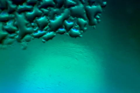 Water droplets Stock Photos