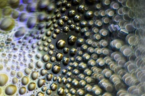Water droplets Stock Photos