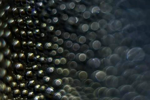Water droplets Stock Photos