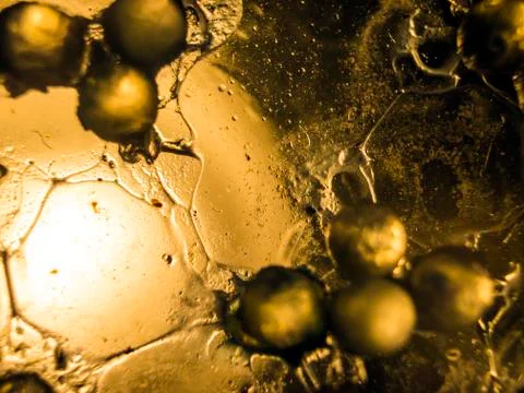 Water droplets Stock Photos